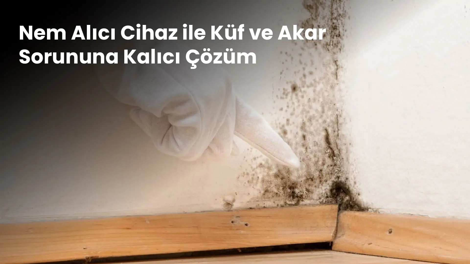 Nem Alıcı Cihaz ile Küf ve Akar Sorununa Kalıcı Çözüm