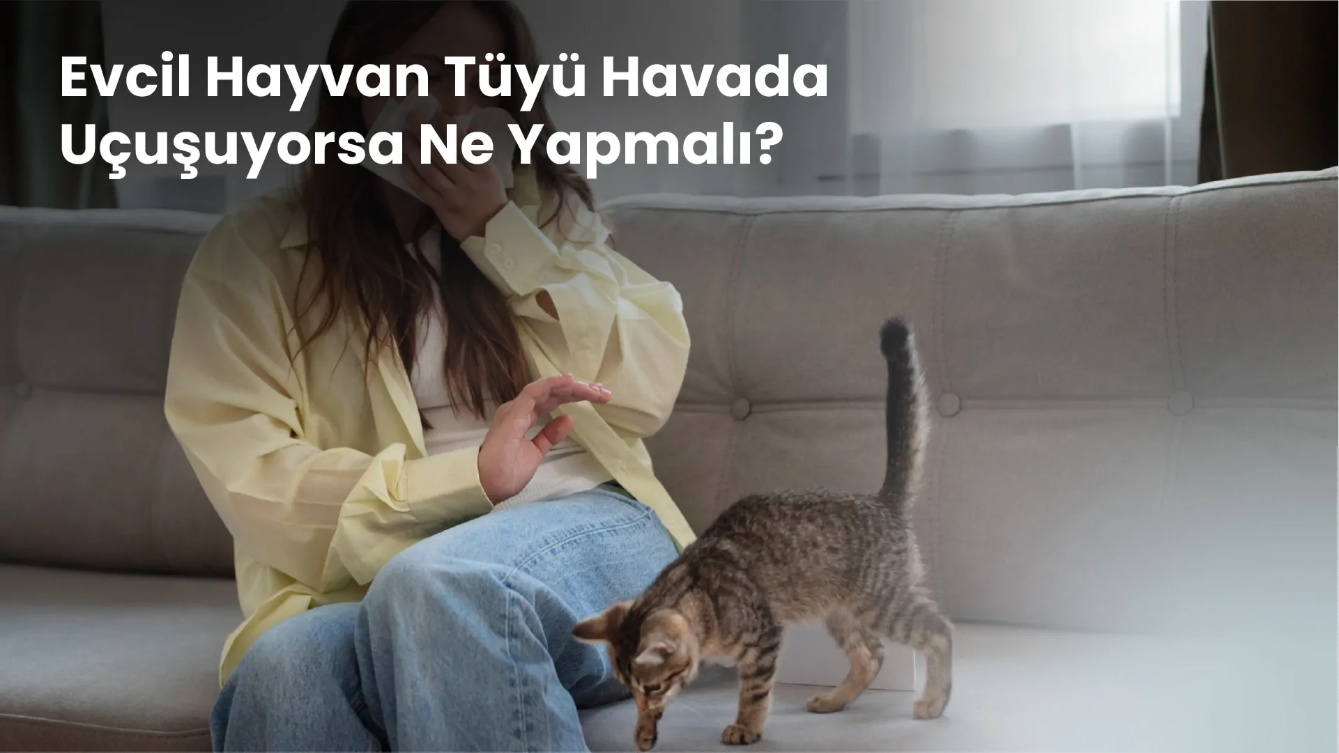 Evcil Hayvan Tüyü Havada Uçuşuyorsa Ne Yapmalı