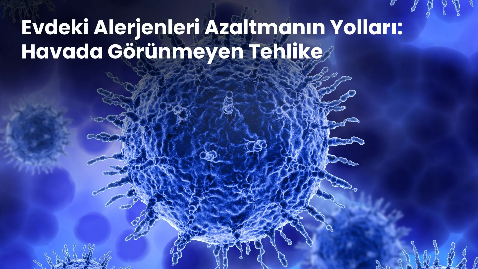 evdeki alerjenleri azaltmanin yollari 1