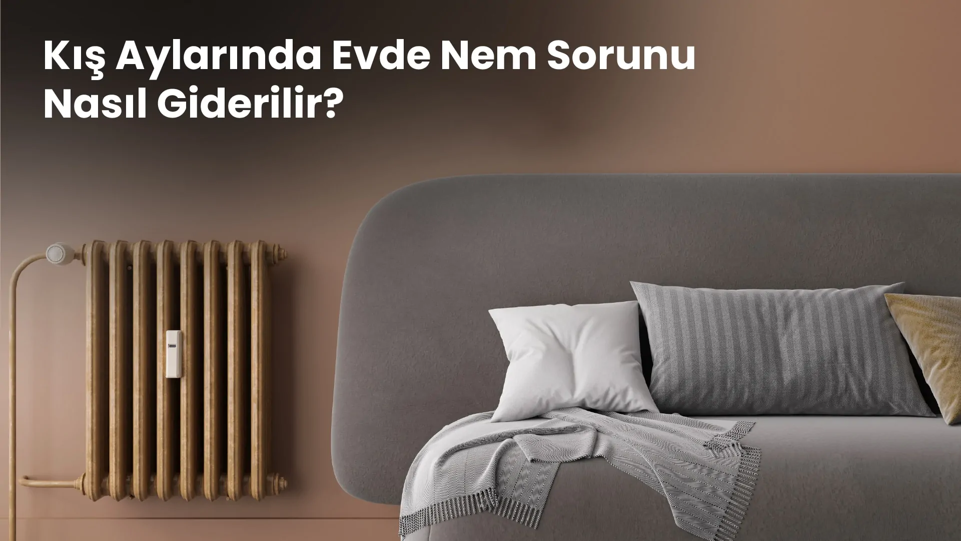 Kış Aylarında Evde Nem Sorunu Nasıl Giderilir